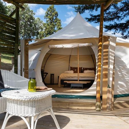 Hotel Kerikeri Glamping Extérieur photo