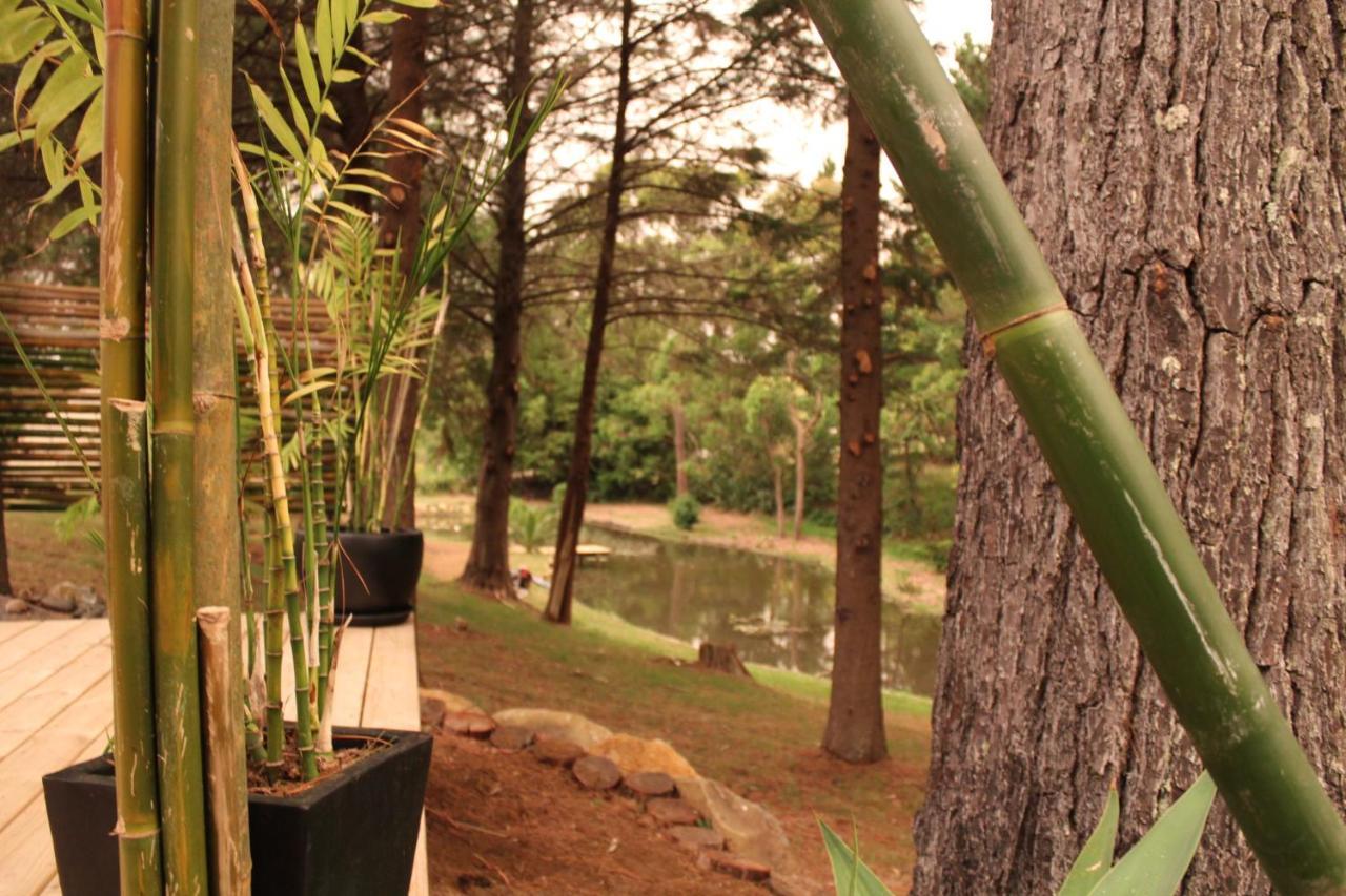 Hotel Kerikeri Glamping Extérieur photo