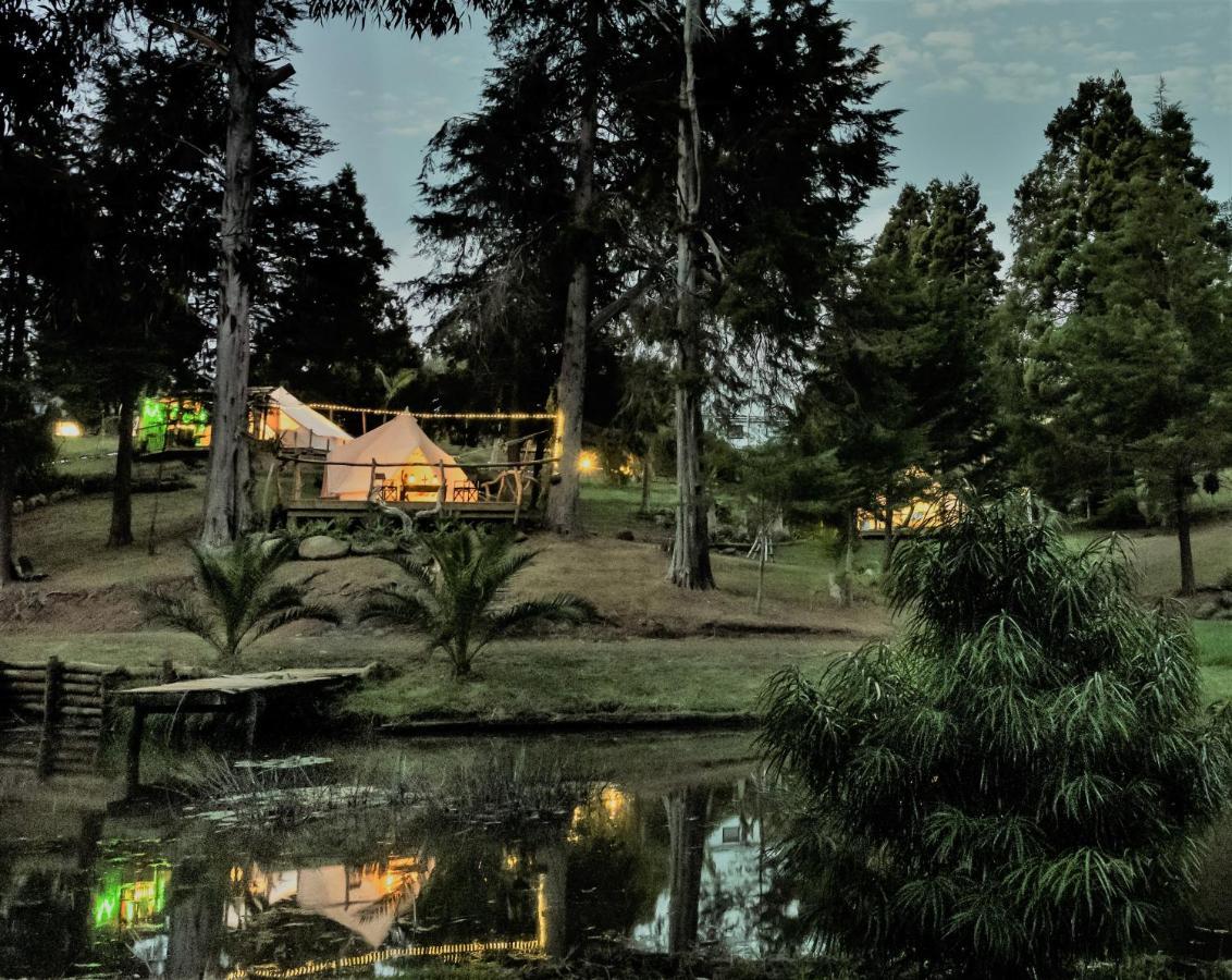 Hotel Kerikeri Glamping Extérieur photo