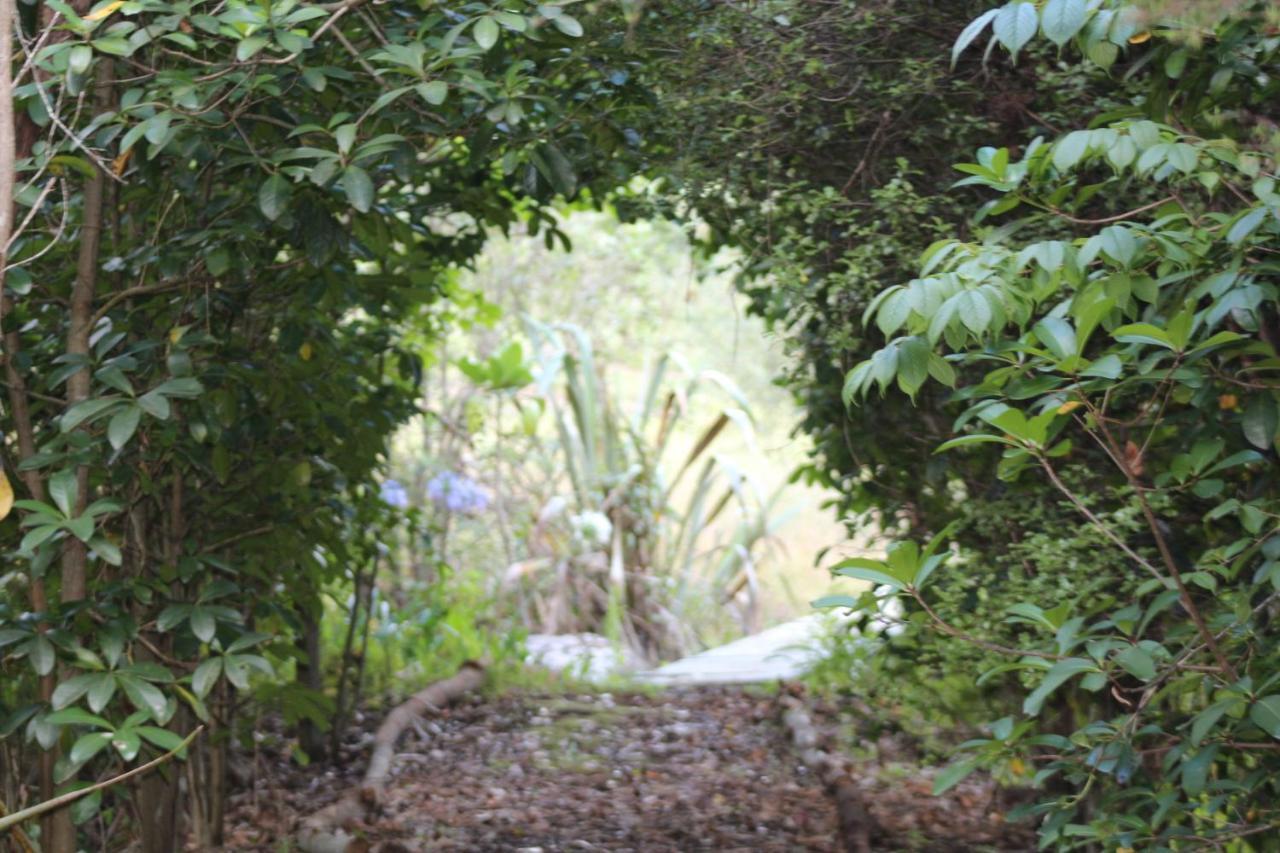 Hotel Kerikeri Glamping Extérieur photo